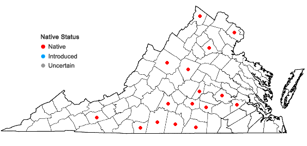 Locations ofPhlox pilosa L. ssp. pilosa in Virginia
