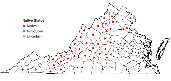 Locations ofPhlox subulata L. in Virginia