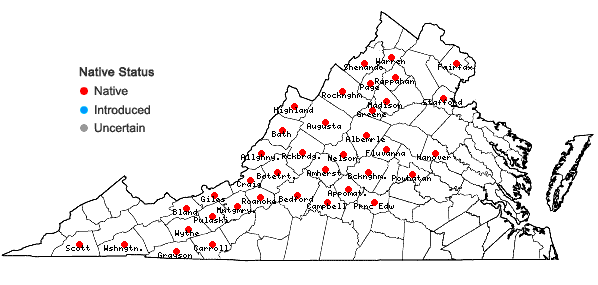 Locations ofPhlox subulata L. in Virginia