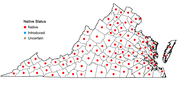 Locations ofPhryma leptostachya L. in Virginia