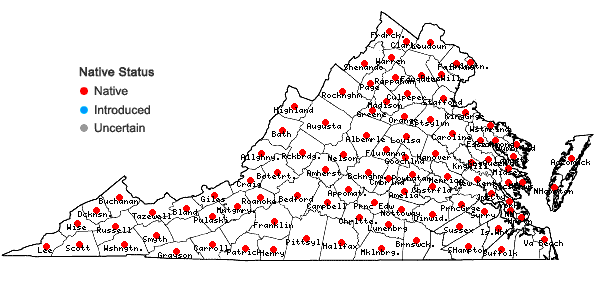 Locations ofPhryma leptostachya L. in Virginia