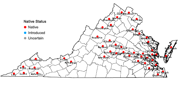 Locations ofPhyla lanceolata (Michx.) Greene in Virginia