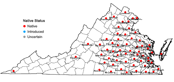 Locations ofPhyllanthus caroliniensis Walt. ssp. caroliniensis in Virginia