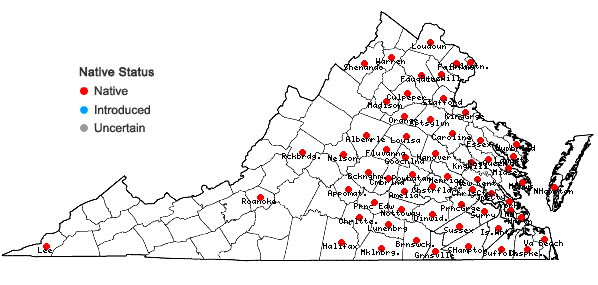 Locations ofPhyllanthus caroliniensis Walt. ssp. caroliniensis in Virginia