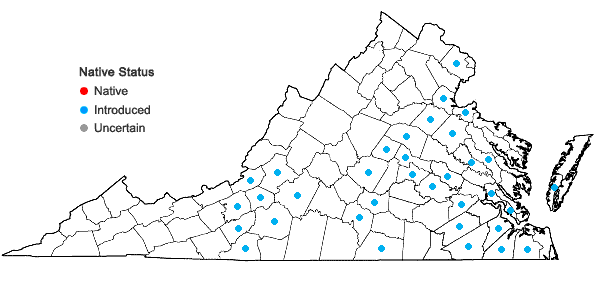 Locations ofPhyllostachys aurea Carr. ex A. & C. Riviere in Virginia