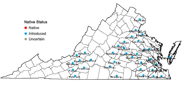 Locations ofPhyllostachys aurea Carr. ex A. & C. Riviere in Virginia