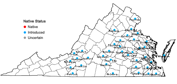 Locations ofPhyllostachys aurea Carr. ex A. & C. Riviere in Virginia
