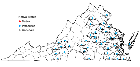 Locations ofPhyllostachys aurea Carr. ex A. & C. Riviere in Virginia