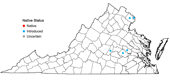 Locations ofPhyllostachys aureosulcata McClure in Virginia