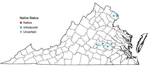 Locations ofPhyllostachys aureosulcata McClure in Virginia