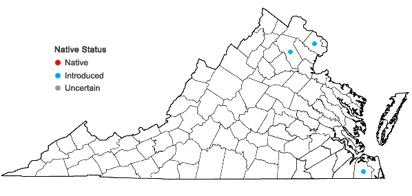 Locations ofPhyllostachys nigra (Lodd. ex Lindl.) Munro in Virginia