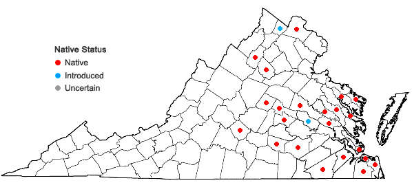 Locations ofPhysalis angulata L. in Virginia