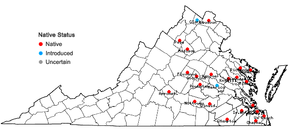 Locations ofPhysalis angulata L. in Virginia