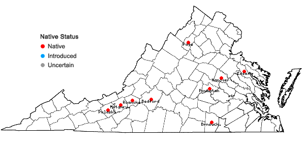 Locations ofPhysalis grisea (Waterfall) M. Martinez in Virginia