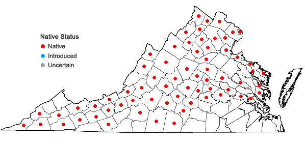 Locations ofPhysalis longifolia Nuttall var. subglabrata (Mackenzie & Bush) Cronq. in Virginia