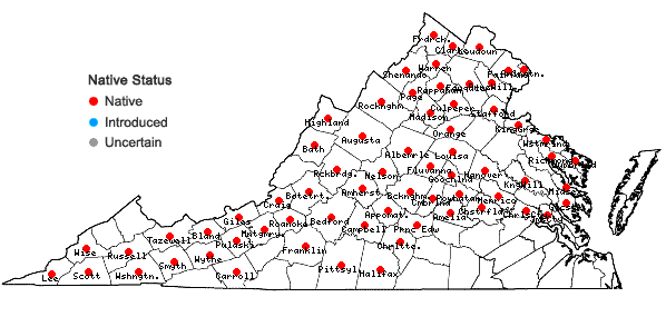 Locations ofPhysalis longifolia Nuttall var. subglabrata (Mackenzie & Bush) Cronq. in Virginia