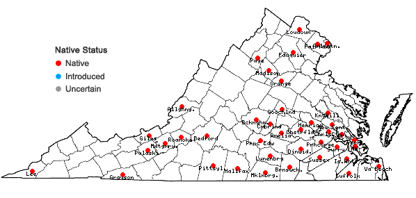 Locations ofPhysalis pubescens L. in Virginia