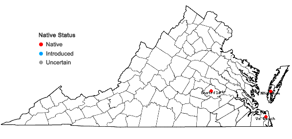 Locations ofPhysalis walteri Nutt. in Virginia