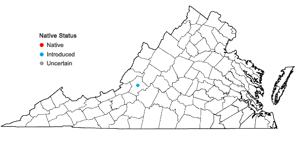 Locations ofPhysaria gordonii (A. Gray) O'Kane & Al-Shehbaz in Virginia