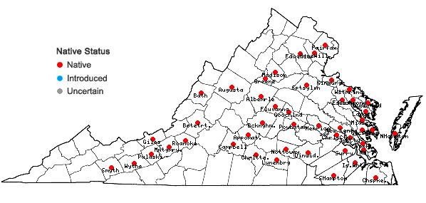 Locations ofPhyscomitrium pyriforme (Hedw.) Hampe in Virginia