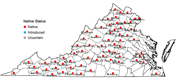 Locations ofPhysocarpus opulifolius (L.) Maxim. var. opulifolius in Virginia