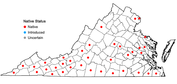 Locations ofPhysostegia virginiana (L.) Benth. in Virginia