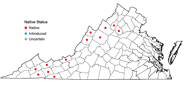 Locations ofPicea rubens Sargent in Virginia