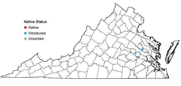 Locations ofPicris hieracioides L. in Virginia