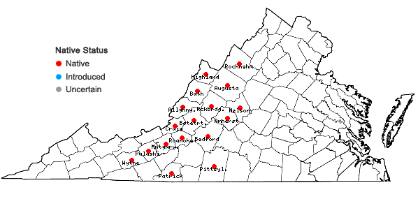 Locations ofPieris floribunda (Pursh) Benth. & Hook. f. in Virginia