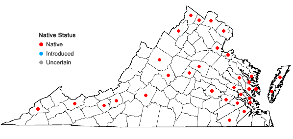 Locations ofPilea fontana (Lunell) Rydb. in Virginia