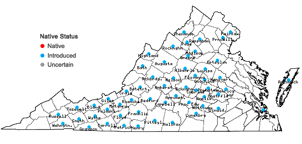 Locations ofPilosella officinarum F. Schultz & Schultz Bip. in Virginia