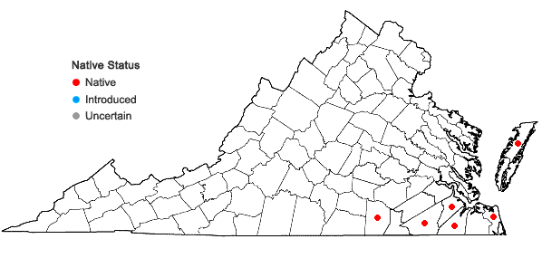Locations ofPinus palustris Miller in Virginia