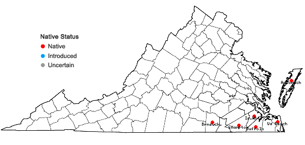 Locations ofPinus palustris Miller in Virginia