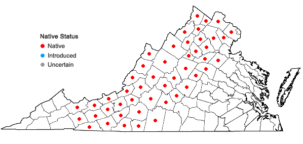 Locations ofPinus pungens Lambert in Virginia
