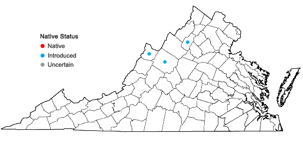Locations ofPinus resinosa Aiton in Virginia