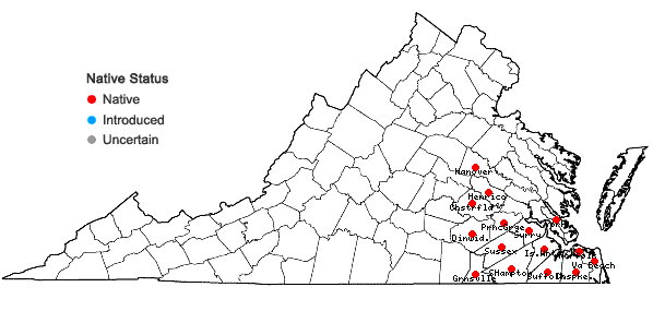 Locations ofPinus serotina Michaux in Virginia