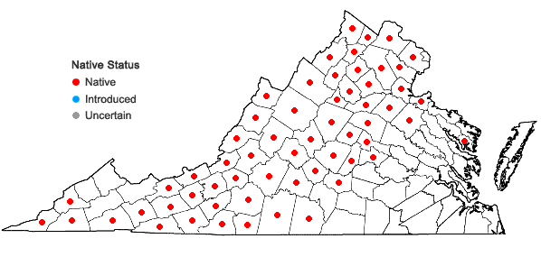 Locations ofPinus strobus L. in Virginia