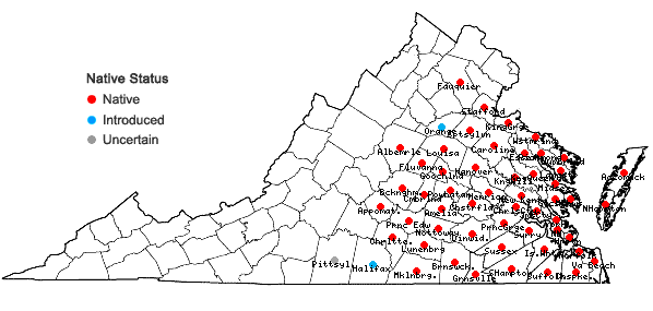 Locations ofPinus taeda L. in Virginia