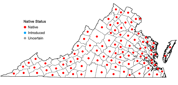 Locations ofPinus virginiana Miller in Virginia