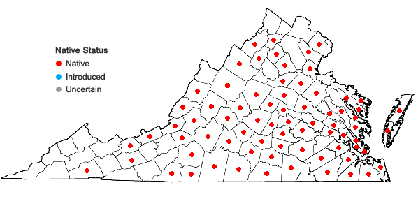 Locations ofPiptochaetium avenaceum (L.) Parodi in Virginia