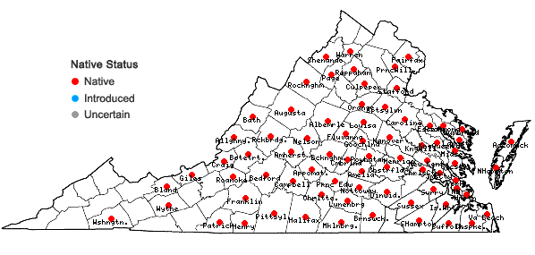 Locations ofPiptochaetium avenaceum (L.) Parodi in Virginia