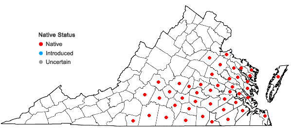 Locations ofPityopsis aspera (Shuttlw. ex Small) Small var. adenolepis (Fern.) Semple & Bowers in Virginia
