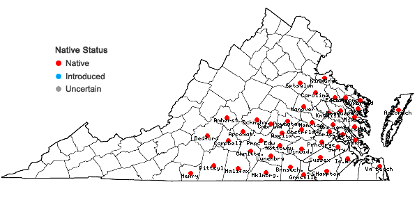 Locations ofPityopsis aspera (Shuttlw. ex Small) Small var. adenolepis (Fern.) Semple & Bowers in Virginia