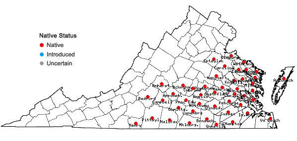 Locations ofPityopsis aspera (Shuttlw. ex Small) Small var. adenolepis (Fern.) Semple & Bowers in Virginia