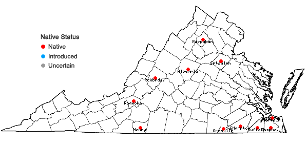 Locations ofPlagiochila appalachiana Inoue in Virginia