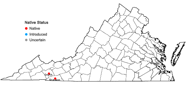 Locations ofPlagiochila exigua (Taylor) Taylor in Virginia