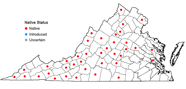 Locations ofPlagiochila porelloides (Torr. ex Nees) Lindenb. in Virginia