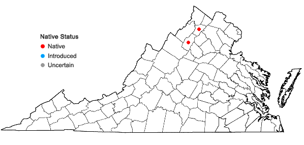 Locations ofPlagiochila retrorsa Gottsche in Virginia