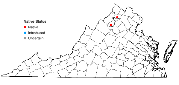 Locations ofPlagiochila retrorsa Gottsche in Virginia