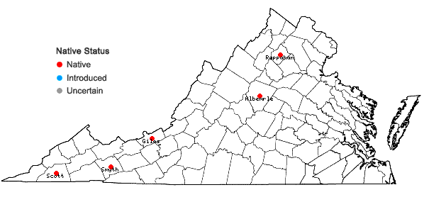 Locations ofPlagiochila sullivantii Gottsche ex A. Evans in Virginia